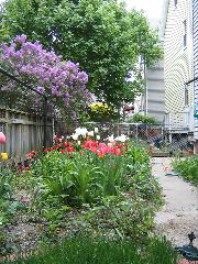 IMG_0945.JPG