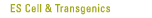 ES Cells & Transgenics