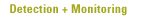 Detection and Monitoring