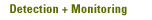 Detection and Monitoring