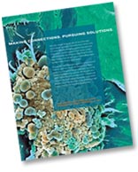 Koch Institute Brochure