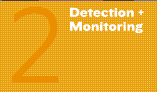 2. Detection and Monitoring