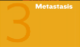 3. Metastasis