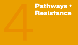 4. Pathways and Resistance