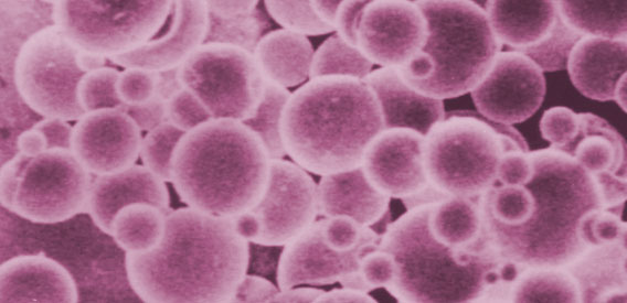 Particles carrying substances capable of activating tumor-specific T cells.