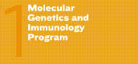 1. Molecular Genetics and Immunology