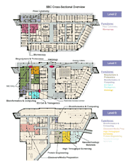 SBC cross-sectional overview