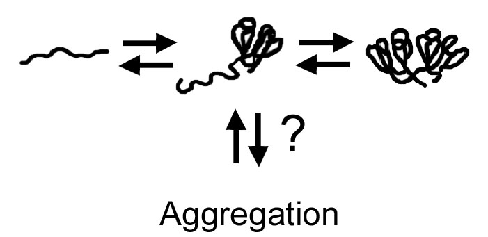 cataract aggregation
