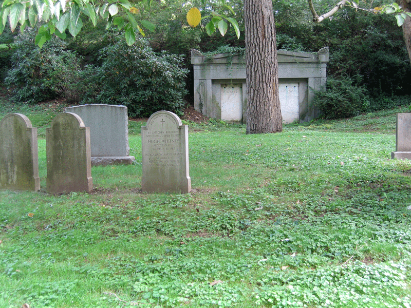 Mt. Auburn / Image05