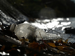 waterbottle weaping in the weaves