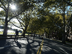 the street to the people