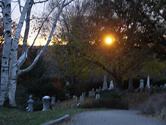 Mt. Auburn Cemetery