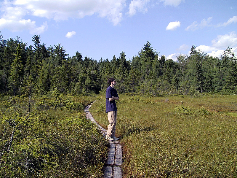 Ian and the New London Bog