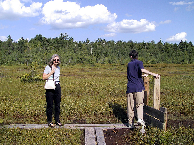 Ian and the New London Bog