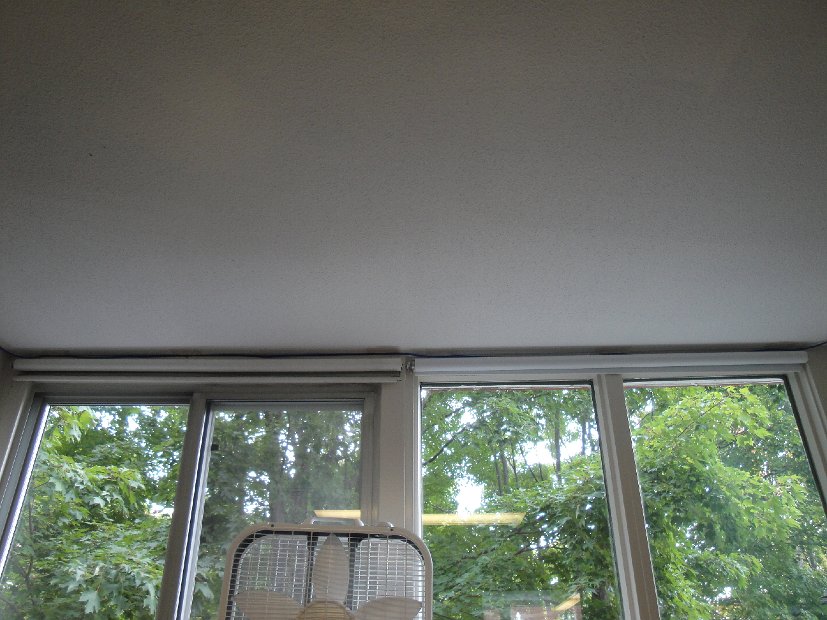 DSC00555