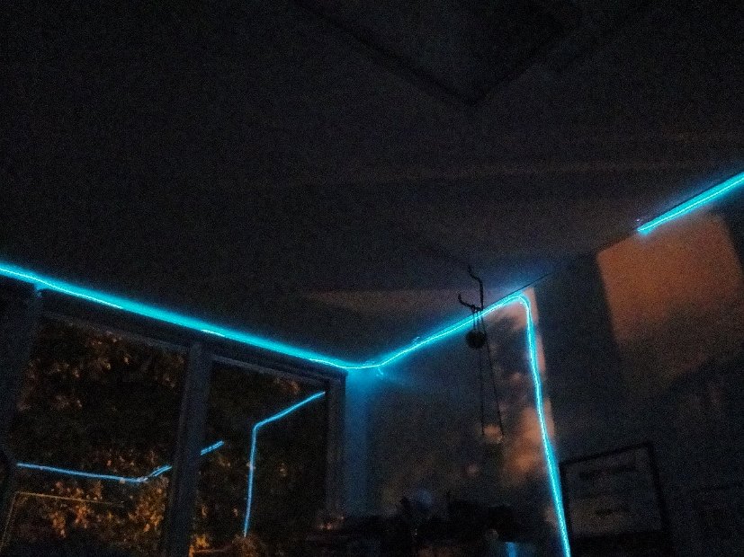 DSC00559
