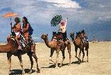 caravan
