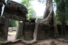 Cambodia1519_TaPhrom_Entrance