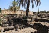 Israel3202_Galilee_Capernaeum