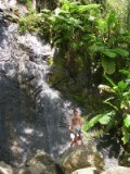 pr5_elYunque04