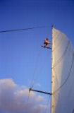 Climbing the sail (3)