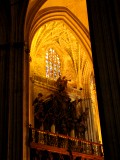 IMG_8535