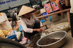 Vietnam0440_BacHa_SpiceMarket