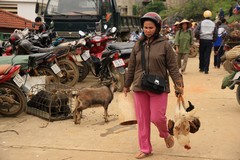 Vietnam0638_BacHa_AnimalMarket
