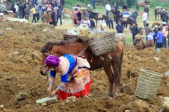 Vietnam0933_BacHa_HorseBirdMarket