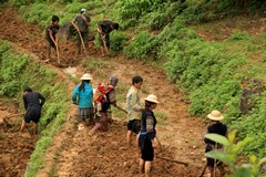 Vietnam2783_LaoChai_WorkingFields