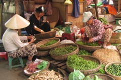 Vietnam3759_HoiAn_CentralMarket