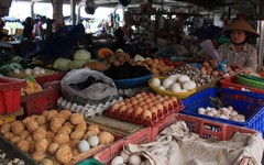 Vietnam3777_HoiAn_CentralMarket