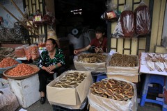 Vietnam6252_HaNoi_CentralMarket