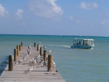  Pictures from Belize 