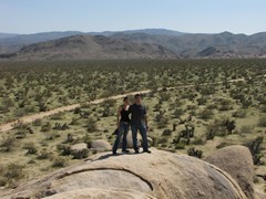  Pictures from Joshuatree 