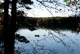 Pictures from Walden Pond 