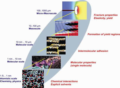 Multi-scale view of collagenous tissue