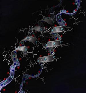 Rupture mechanics of a vimentin AH domain