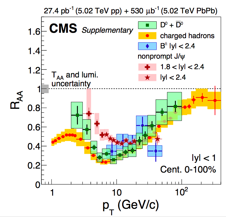 Mit Relativistic Heavy Ion Group