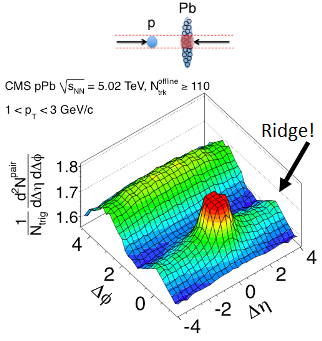 Ridge in high multiplicity pPb collisions.