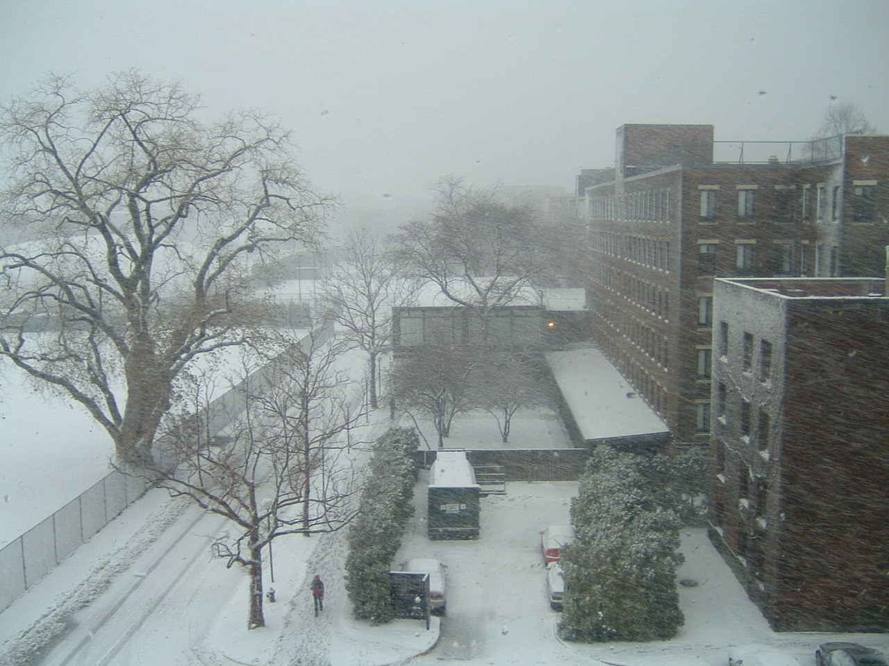 [img width=640 height=480]http://web.mit.edu/mollieb/Public/Pictures/Senior%20Year/December/snow%20003.jpg[/img]