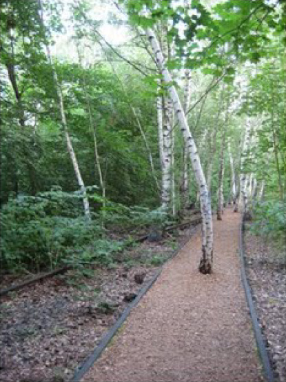 trees