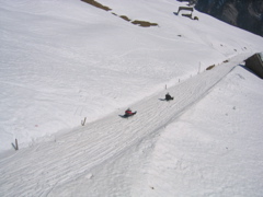 Tobogganing in the Alps