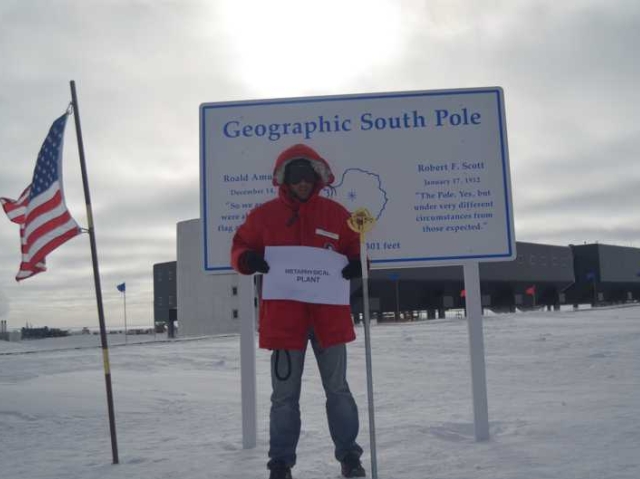 Metaphysical Plant at the South Pole