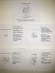 Assessing Quality Group 2