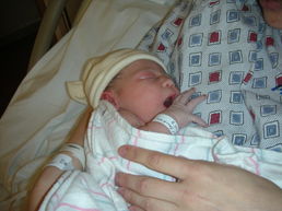 DSCN0036.JPG, 707x530, 103 Kb