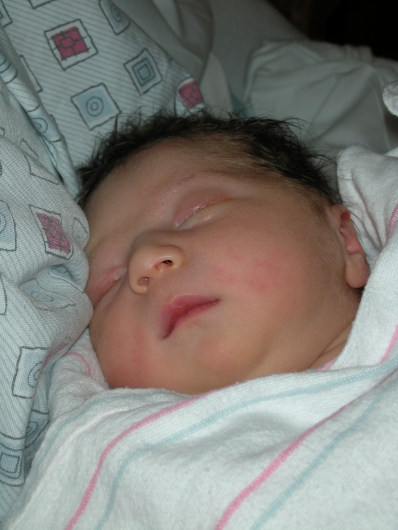 DSCN0045.JPG, 398x530, 55 Kb