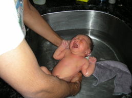 DSCN0064.JPG, 707x530, 94 Kb