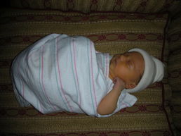 DSCN0097.JPG, 707x530, 96 Kb