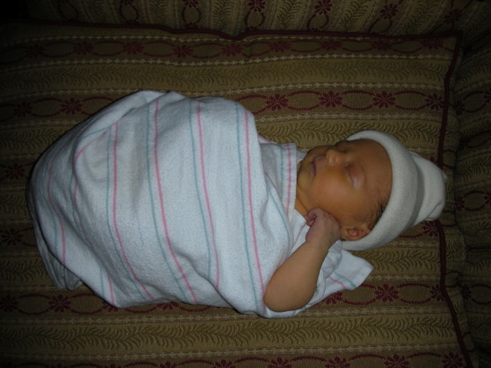 DSCN0097.JPG, 707x530, 96 Kb